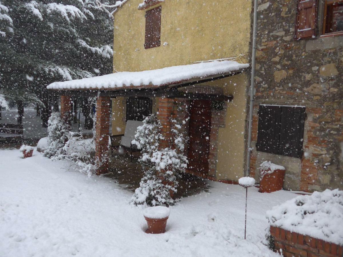 Mdq - Azienda Agricola Daire Castiglione dʼOrcia Dış mekan fotoğraf
