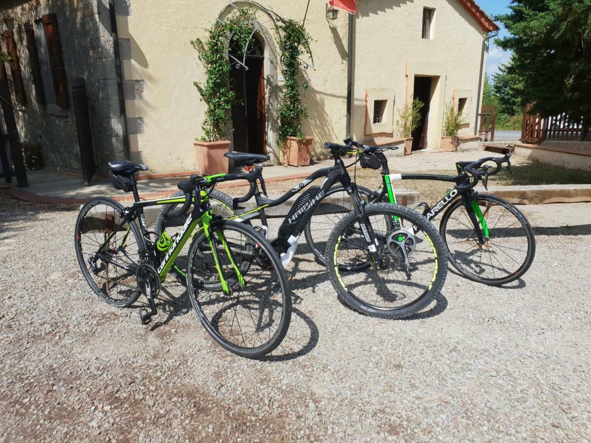 Mdq - Azienda Agricola Daire Castiglione dʼOrcia Dış mekan fotoğraf