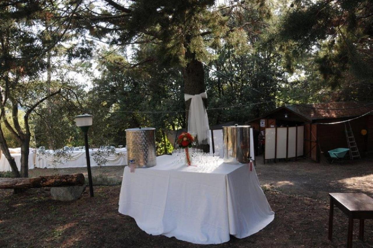 Mdq - Azienda Agricola Daire Castiglione dʼOrcia Dış mekan fotoğraf