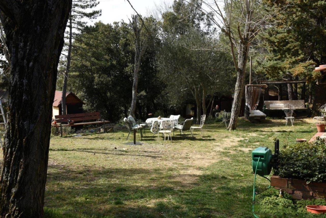 Mdq - Azienda Agricola Daire Castiglione dʼOrcia Dış mekan fotoğraf